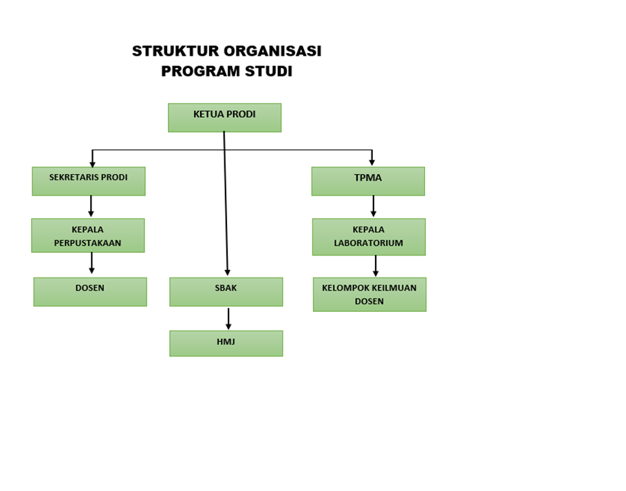 Struktur Organisasi Program Studi